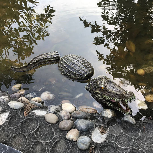 Floating Crocodile Water Garden Ornament