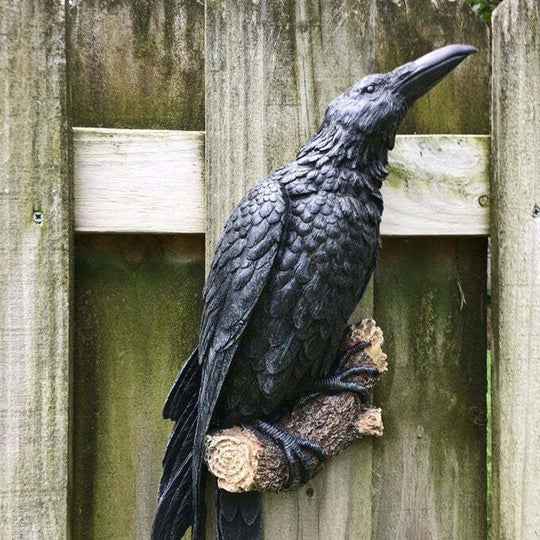 Raven Bird - Creative Sculpture