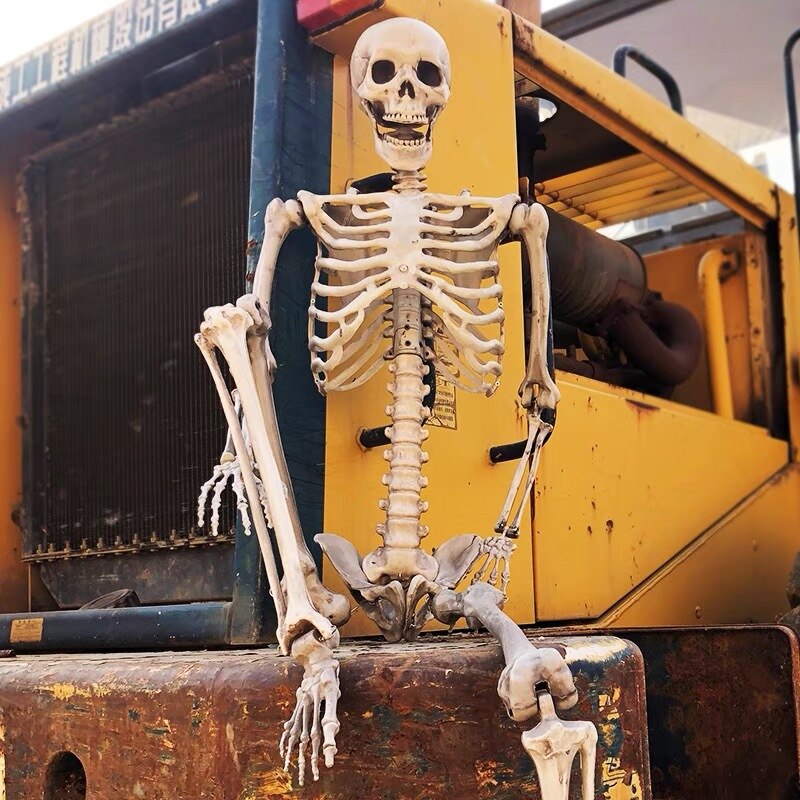 Bone Chiller Halloween Skeleton Decoration