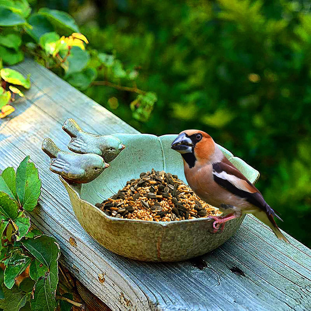 Ceramic Bird Feeder Bowl Set