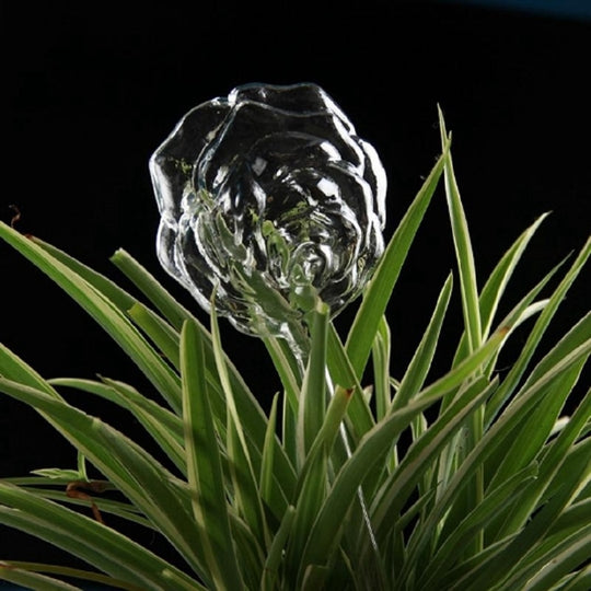 Smart Glass Waterer