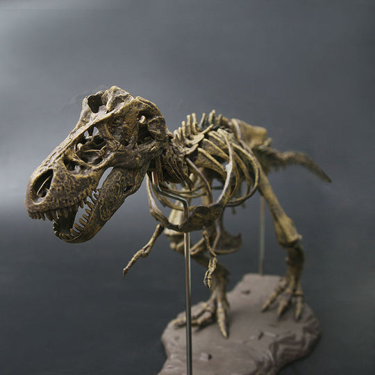 T-Rex Skull Fossil Replica