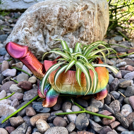 Rainbow Shell Garden Planter