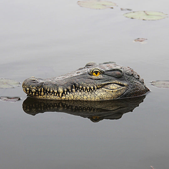 Floating Crocodile Head Ornament