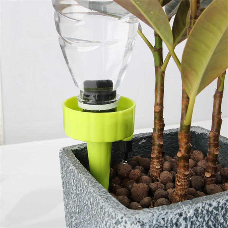 Green Thumb Self-Watering Kits
