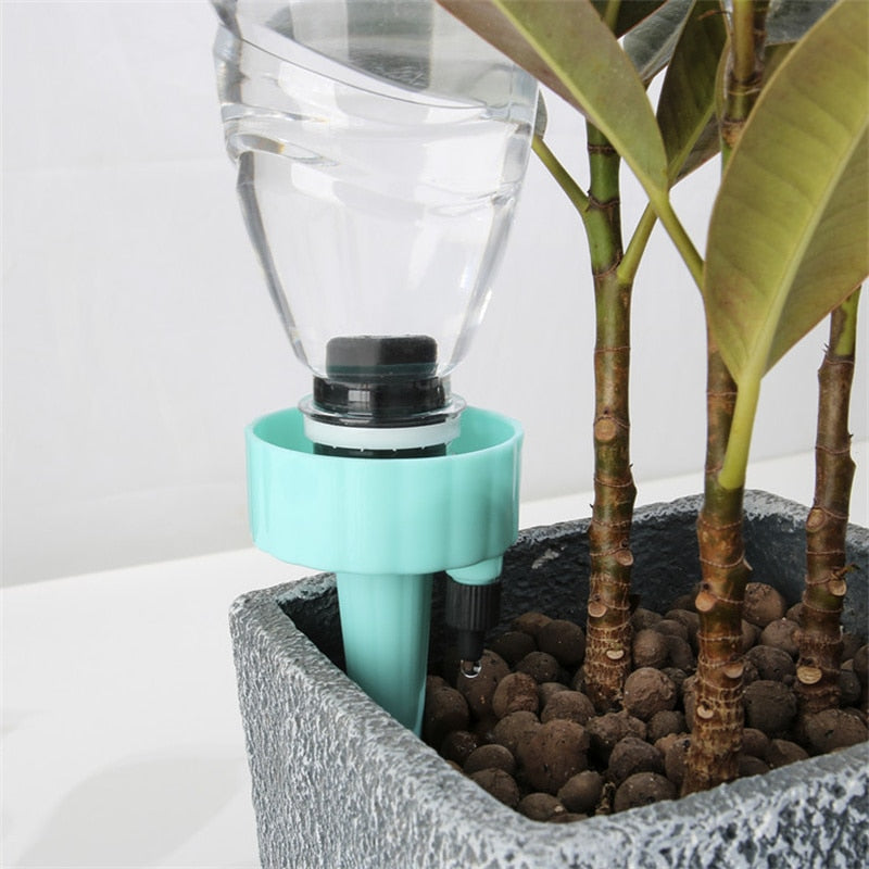 Green Thumb Self-Watering Kits