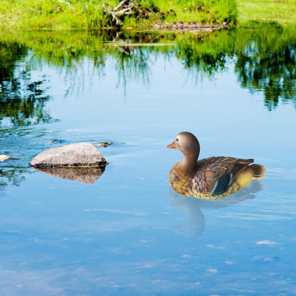 Floating Mandarin Duck