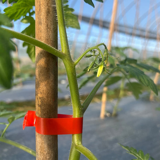GrowSecure Plant Tying Machine