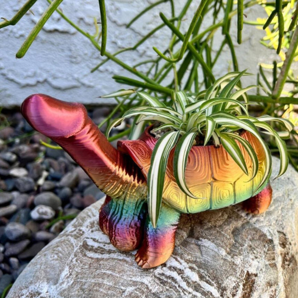 Rainbow Shell Garden Planter