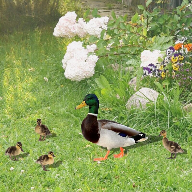 Lawn Art - 5pcs Cute Duck Set