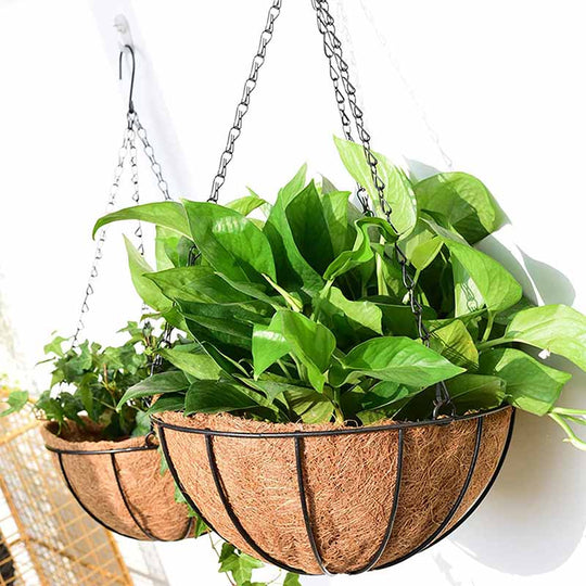 Metal Hanging Basket for Plants and Flowers