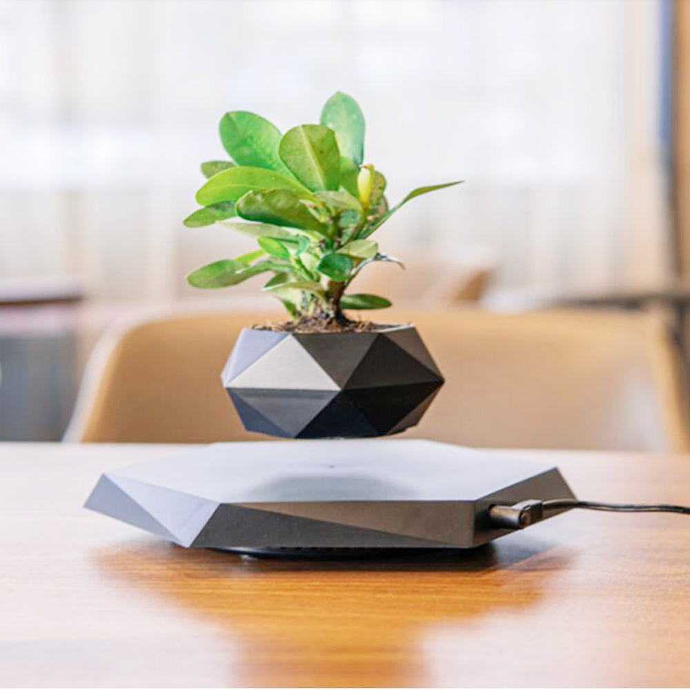 Floating Magnetic Levitating Flower Pot