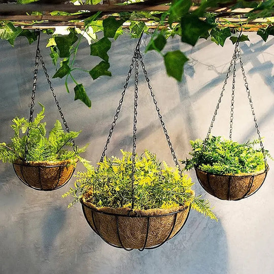 Metal Hanging Basket for Plants and Flowers