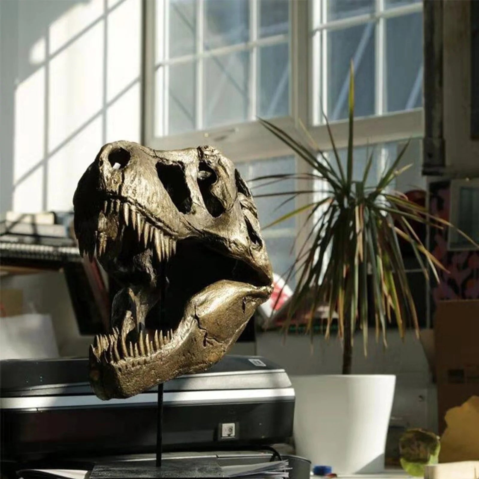 The T-Rex Skull Skeleton